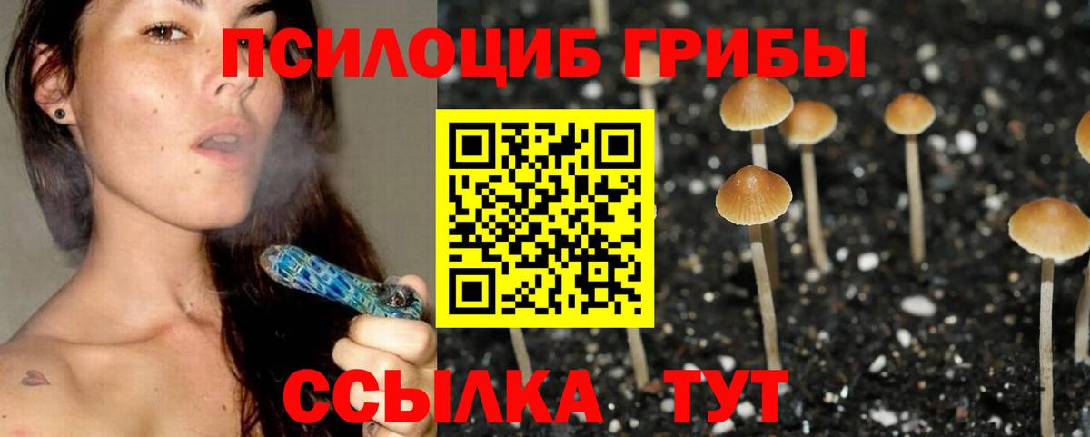 Самара  Псилоцибиновые грибы прущие грибы  Вход с VPN  Галлюциногенные грибы Psilocybine cubensis 