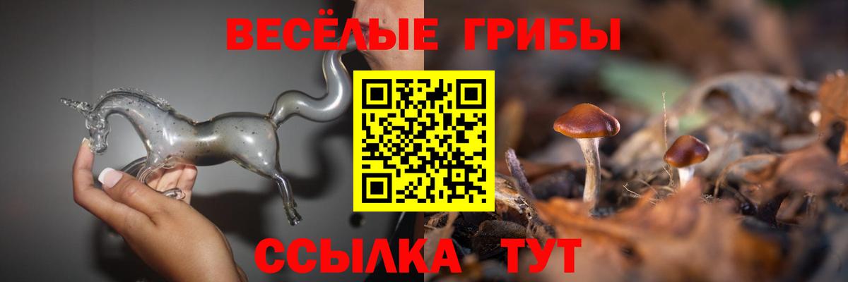 Галлюциногенные грибы мицелий Самара